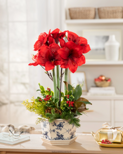 Balsam Hill amaryllis bloemstuk 8ZHB168 decoratie