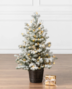 Balsam Hill baby-matte yukon-sparren potboom 8ZHB164 decoratie