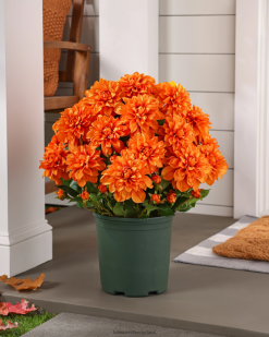 Balsam Hill buiten levendige dahlia's potvuller 8ZHB465 decoratie