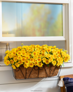 Balsam Hill buiten zonsondergang moeders raamdoos 8ZHB431 decoratie