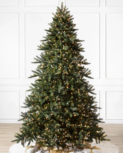 Balsam Hill Californië baby redwood boom 8ZHB62 boom