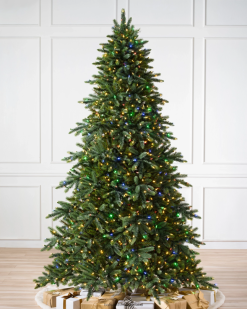 Balsam Hill Californië baby-sequoia 8ZHB43 boom