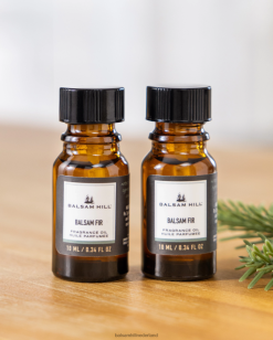 Balsam Hill geurige favorieten set essentiële oliepatronen 8ZHB330 decoratie