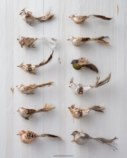 Balsam Hill gevederde vrienden ornament set 8ZHB379 decoratie