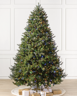 Balsam Hill rotsachtige bergpijnboom 8ZHB60 boom