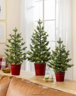 Balsam Hill verlichte tafelbladboomset op het platteland 8ZHB186 decoratie