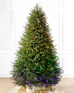 Balsam Hill zwarte heuvelssparren 8ZHB44 boom